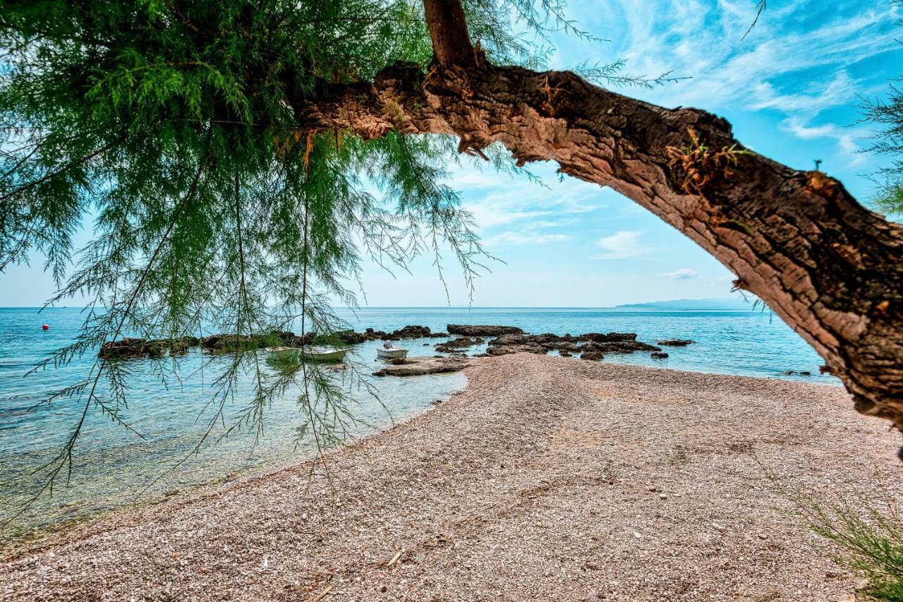 Villa Gloria Potomje Εξωτερικό φωτογραφία