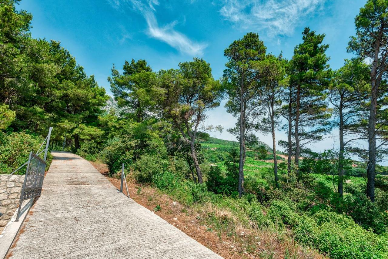 Villa Gloria Potomje Εξωτερικό φωτογραφία