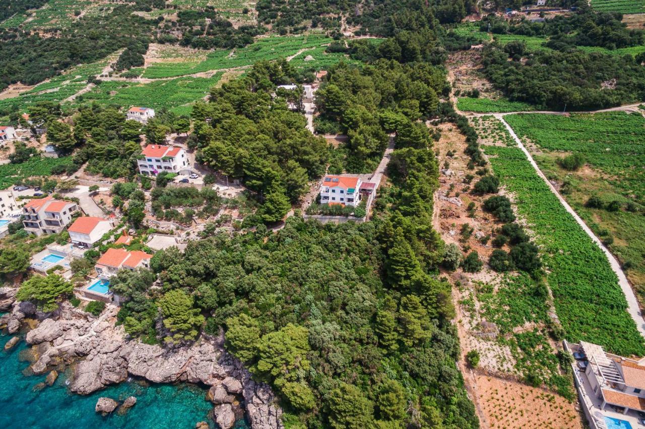 Villa Gloria Potomje Εξωτερικό φωτογραφία